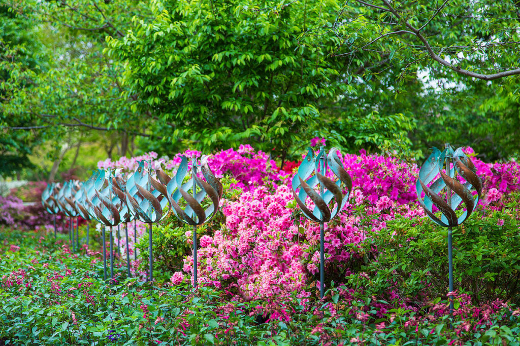 Dallas Arboretum | Paseo de Flores West