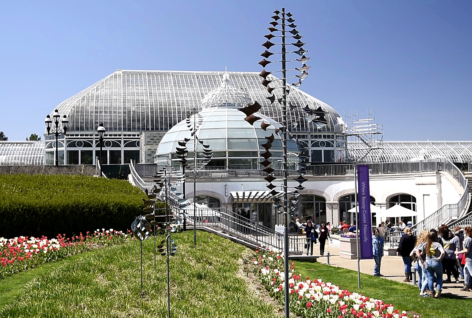 Lyman Whitaker Wind Sculptures At Phipps Conservatory And